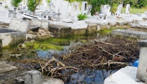 campos del recuerdo 5