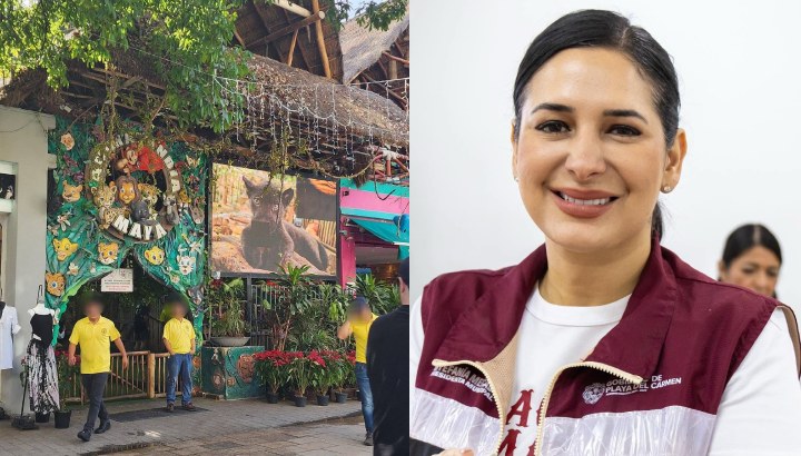 PETA Latino reconoce al gobierno de Estefanía Mercado por liderazgo en bienestar animal y clausura de Animalandia Maya
