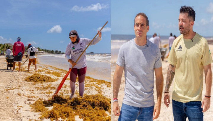 Tulum fortalece el trabajo coordinado para atender el recale de sargazo