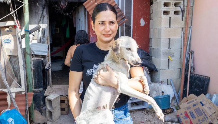 Estefanía Mercado actúa con firmeza contra el maltrato animal; rescata seis seres sintientes en Puerto Aventuras