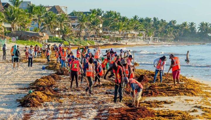 Tulum se suma al Día Internacional de la Limpieza de Playas y Costas